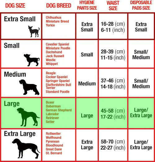 Mikki Hygiene Pants for Dogs - Size Large
