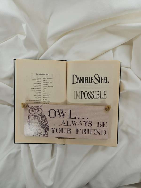 Impossible by Danielle Steel - Hardback
