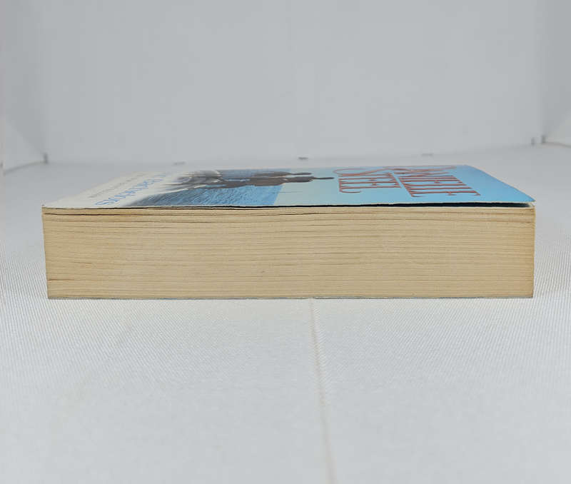 Toxic Bachelors by Danielle Steel - Paperback
