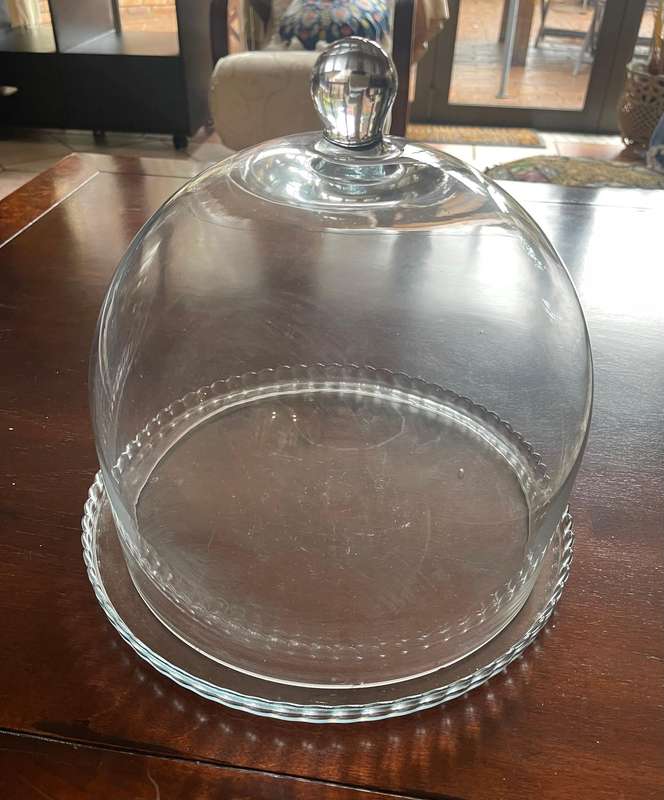Cake cloche/dome