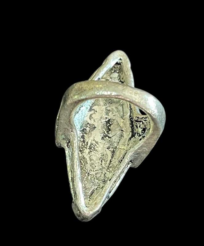 Ring metal costume