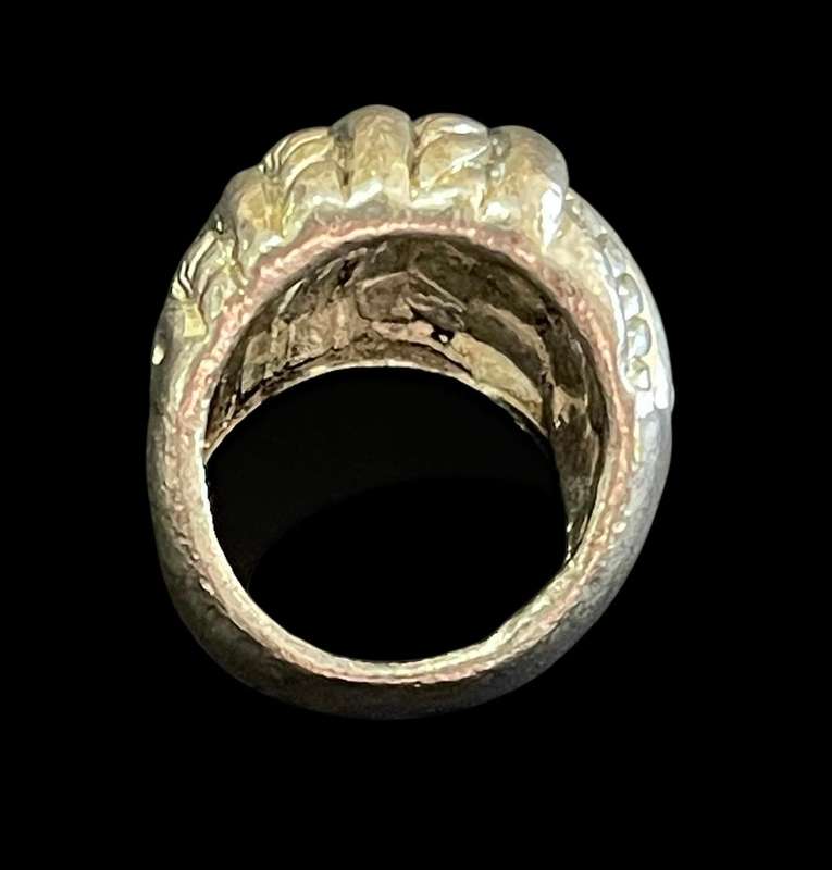 Ring metal costume