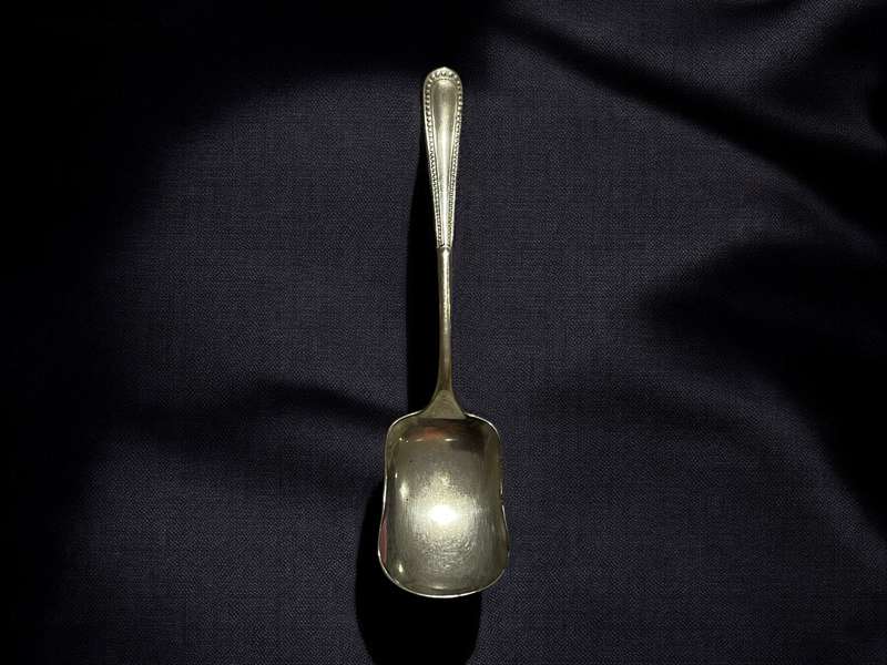 Jam/ sugar spoon(Nr2)