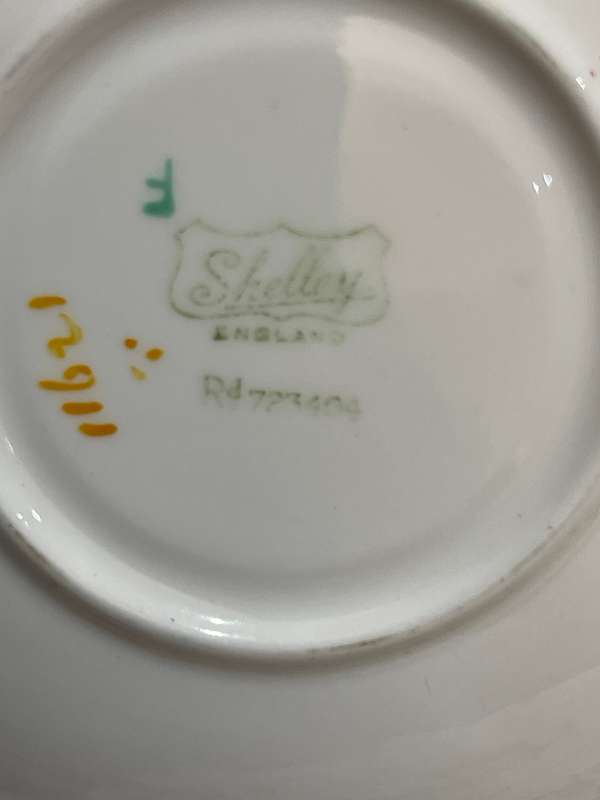 Saucer Shelley each