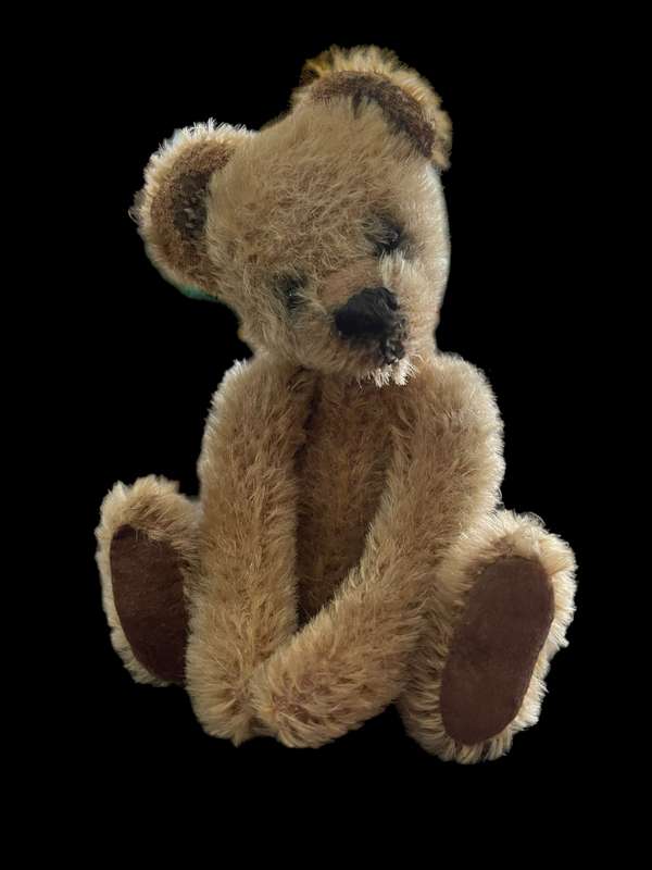 Teddy bear mohair(Nr10)