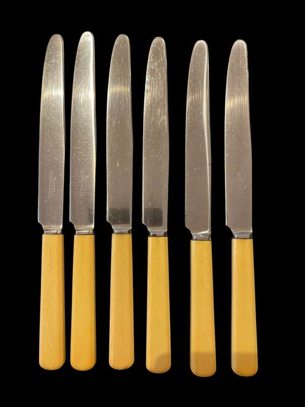 Knives bone handled(NR18)