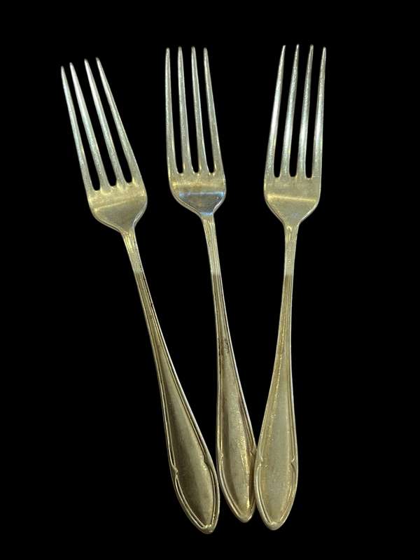 Forks dinner(11)