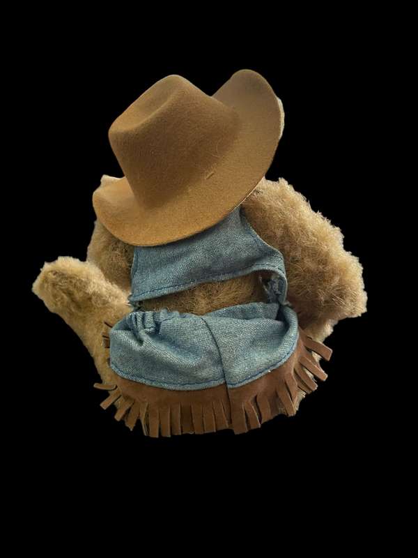 Teddy bear Cowgirl(Nr9)