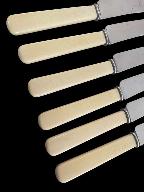 Knives bone  handled(3)