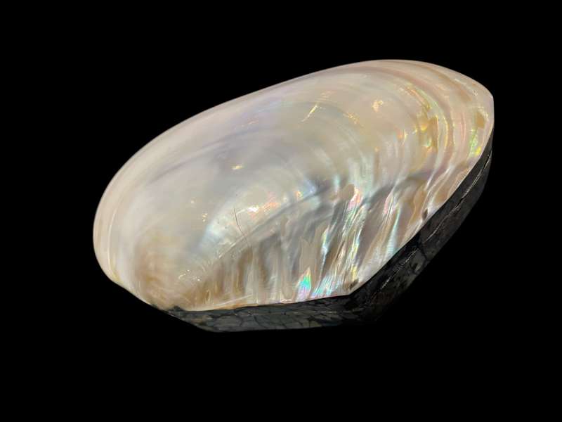 Jewellery holder mother of pearl