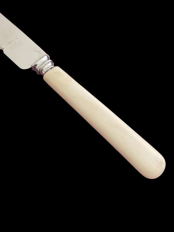 Bread knife(NR1)