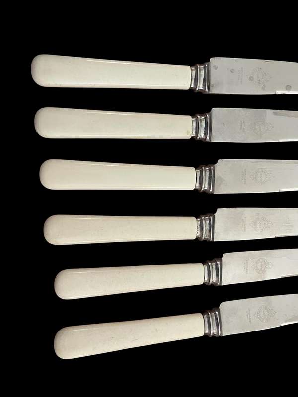 Knives bone handled(NR30)
