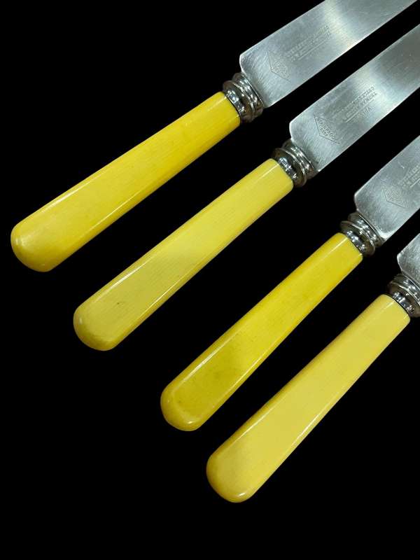 Knives bone handled(NR32)large