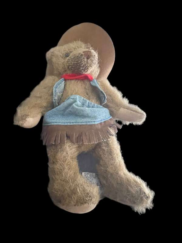 Teddy bear Cowgirl(Nr9)