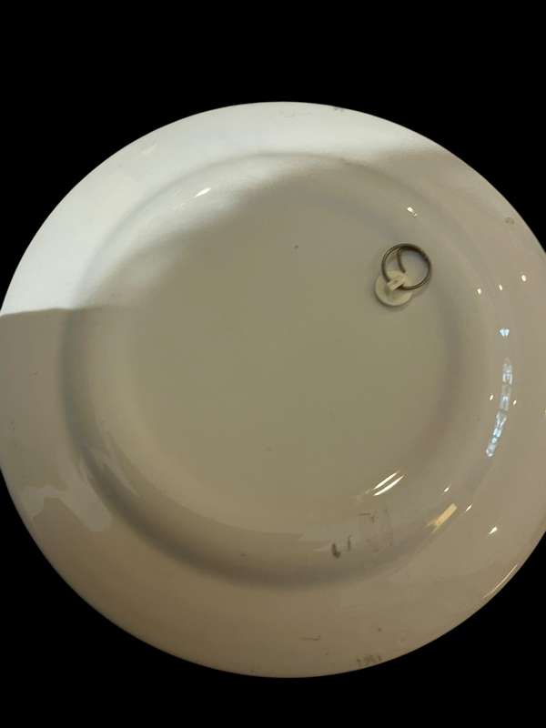 Plate Delft style