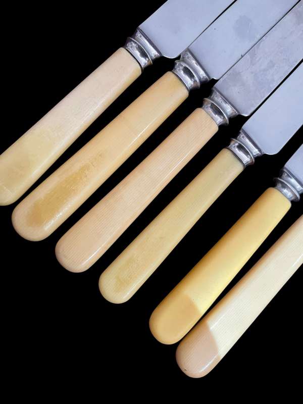 Knives bone handled(NR21)