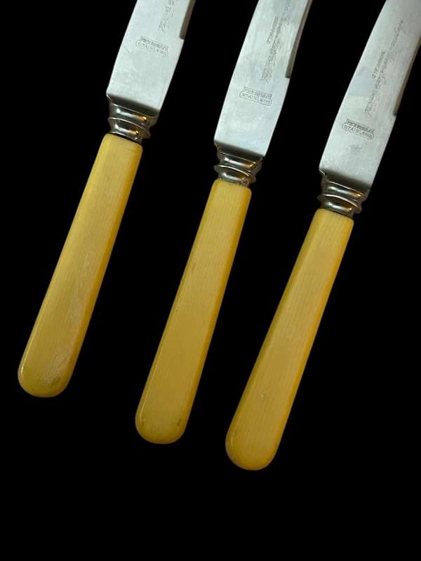 Butter/pate knife bone handled each(NR6)