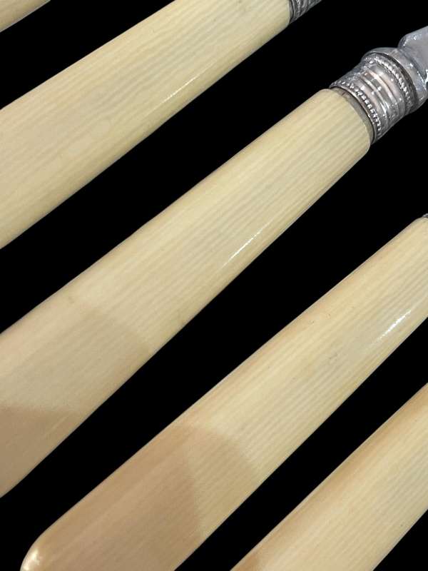 Forks bone handled(NR1)
