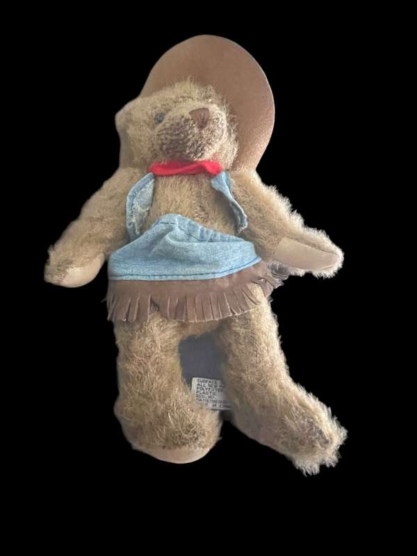 Teddy bear Cowgirl(Nr9)