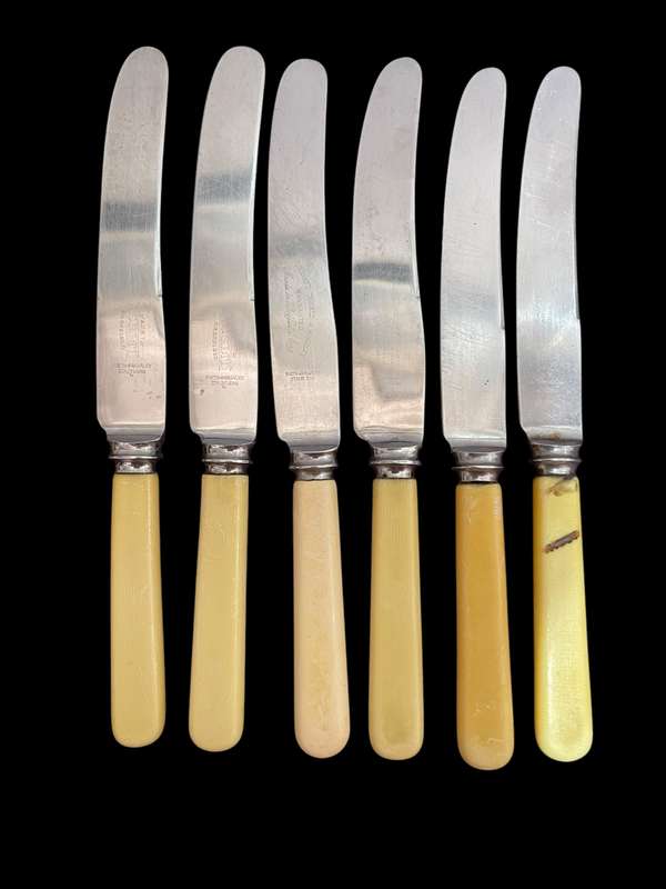 Knives bone handled(NR15)