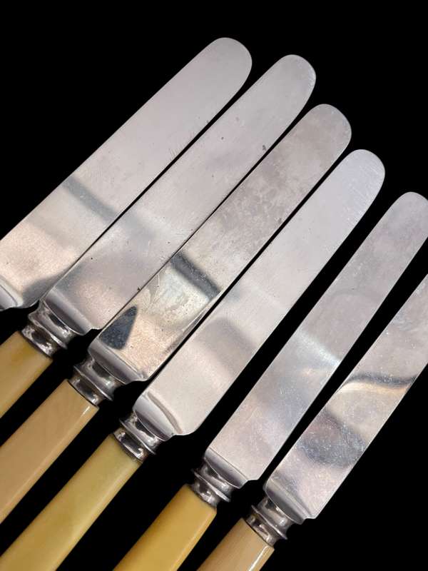 Knives bone handled(NR21)