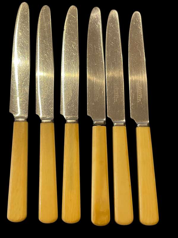 Knives bone handled(NR19)