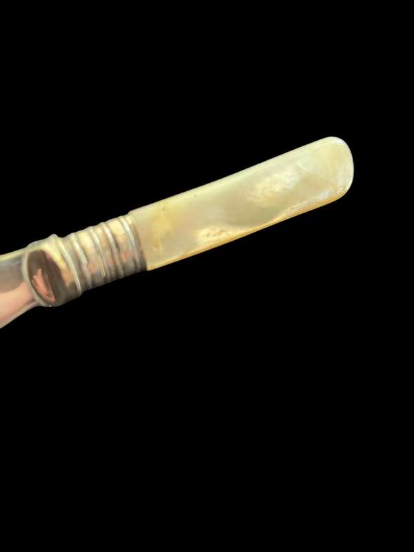Butter/pate knife mother of pearl(NR1)