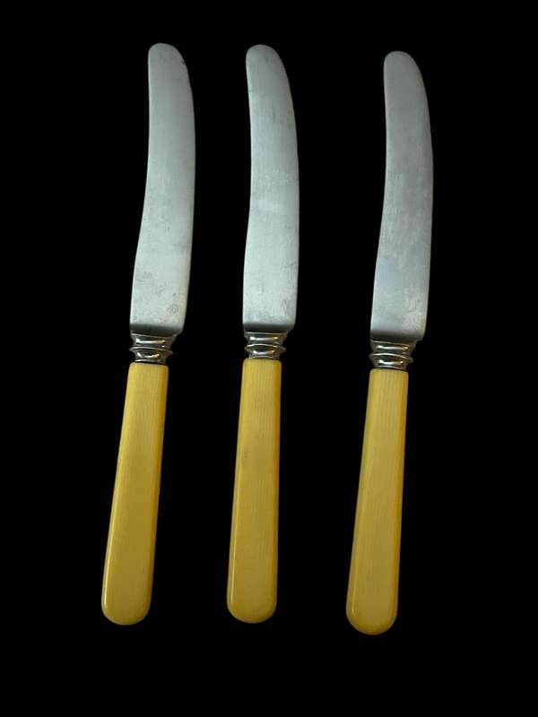 Butter/pate knife bone handled each(NR6)