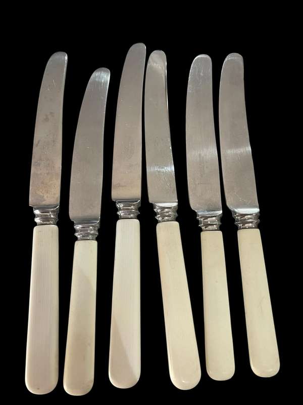 Knives bone handled(NR7)