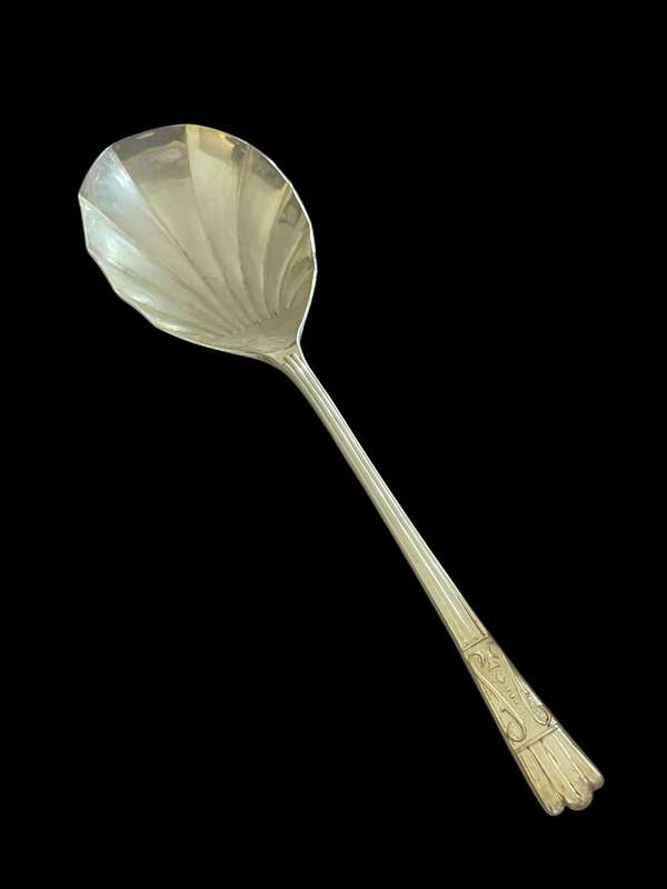 Serving spoon(NR21)