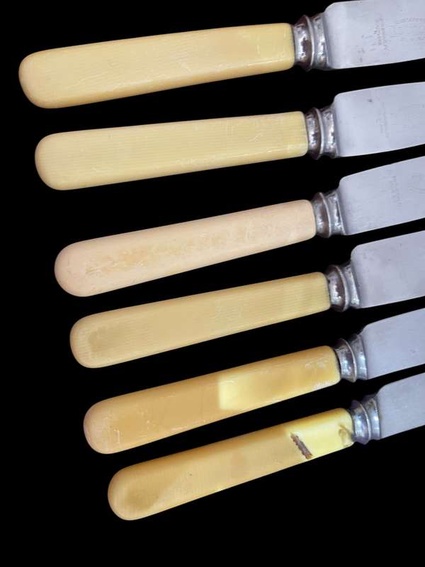 Knives bone handled(NR15)