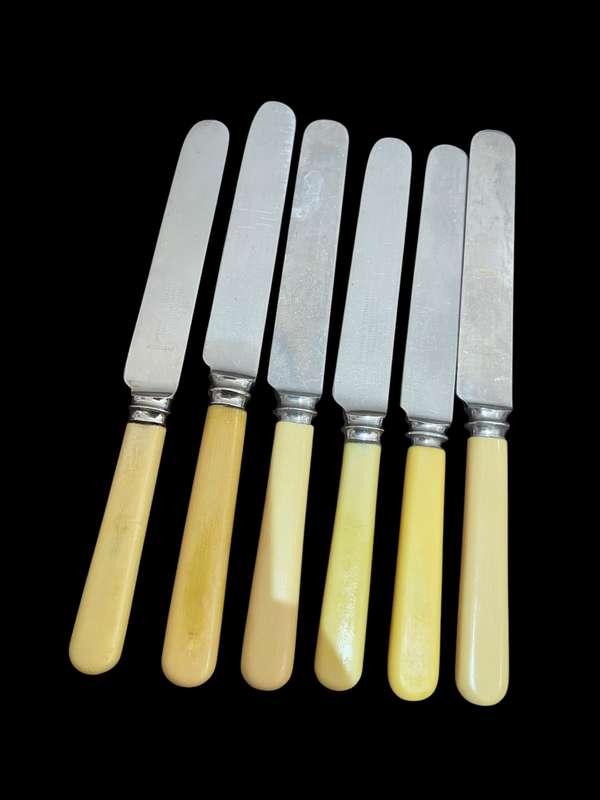 Knives bone handled(NR21)