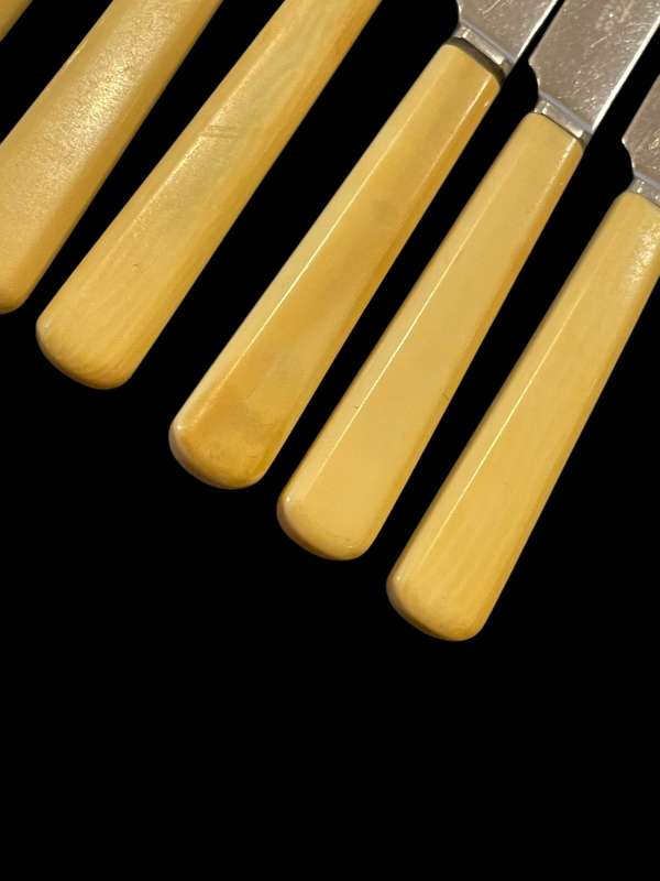 Knives bone handled(NR19)