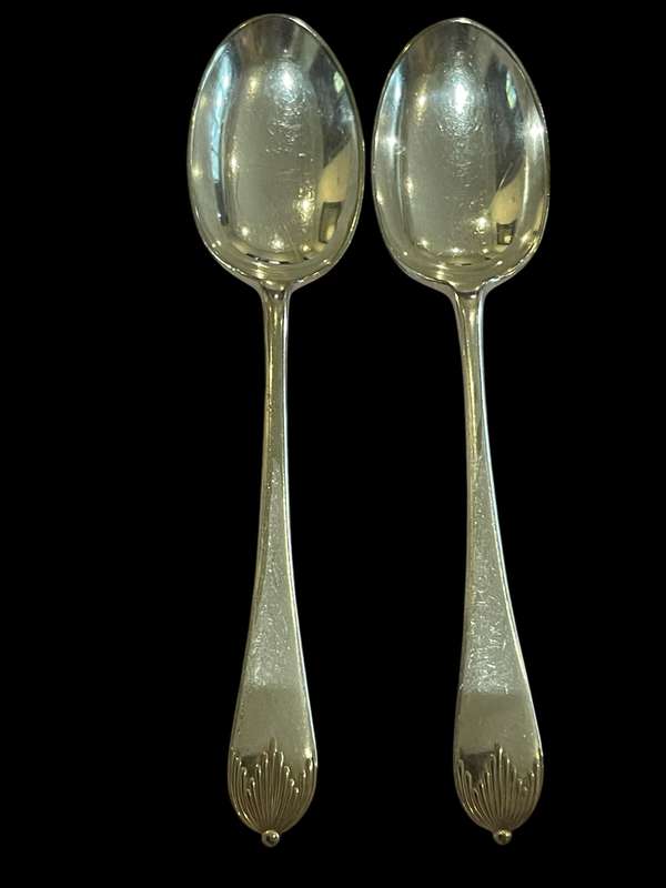 Spoons dinner(11)