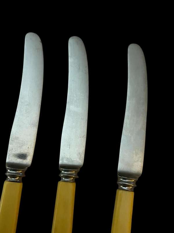 Butter/pate knife bone handled each(NR6)