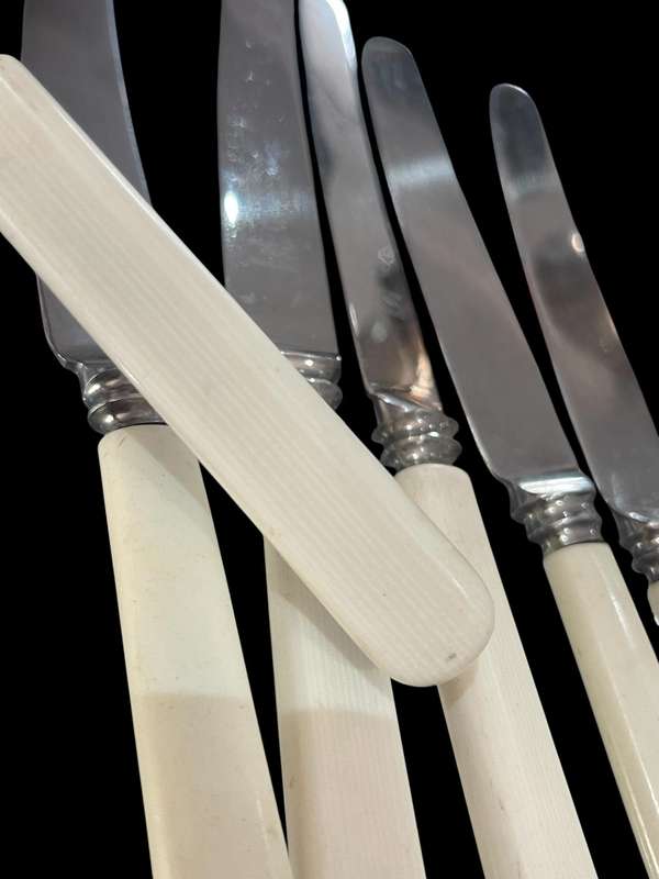 Knives bone handled(NR7)