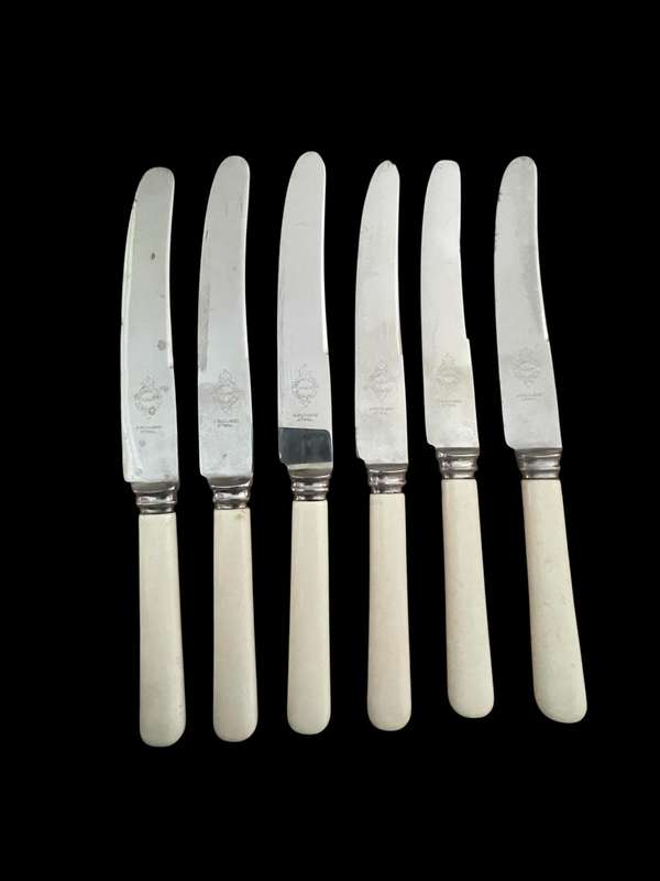 Knives bone handled(NR31)