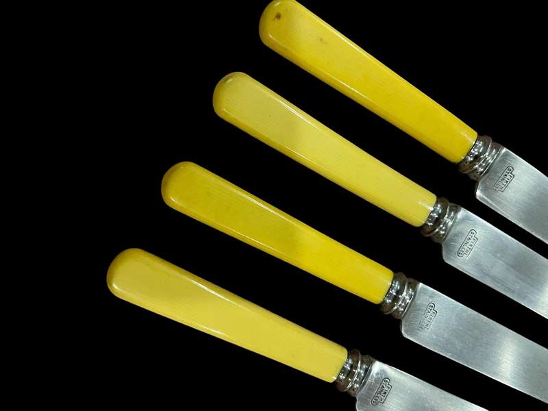 Knives bone handled(NR32)large
