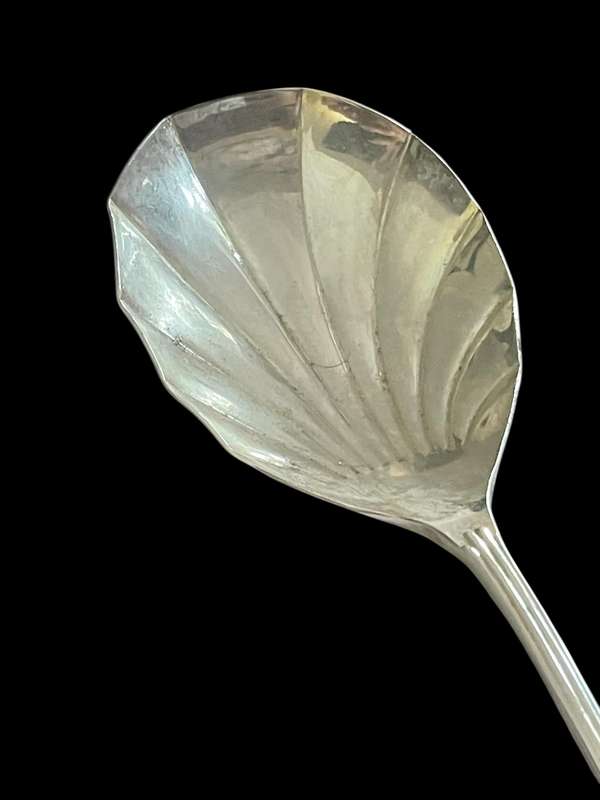 Serving spoon(NR21)