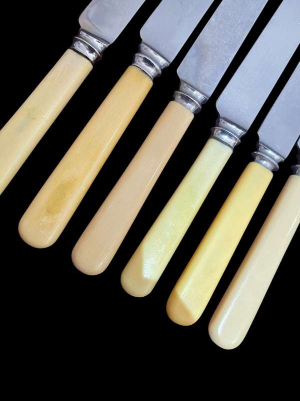 Knives bone handled(NR21)