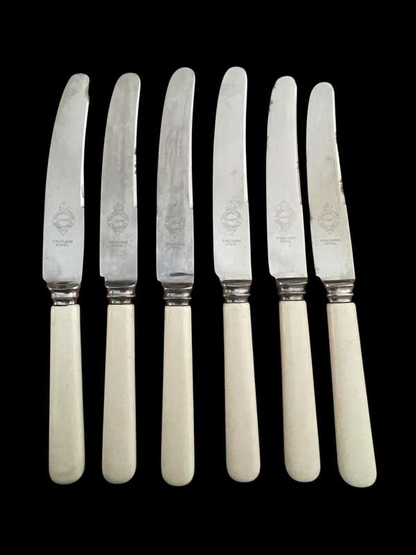 Knives bone handled(NR31)