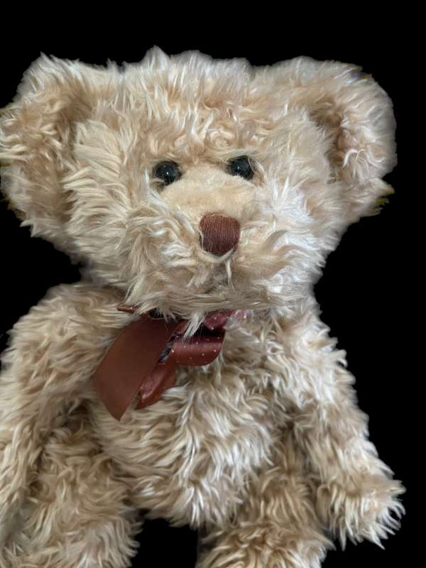 Teddy bear Russ Radcliffe
