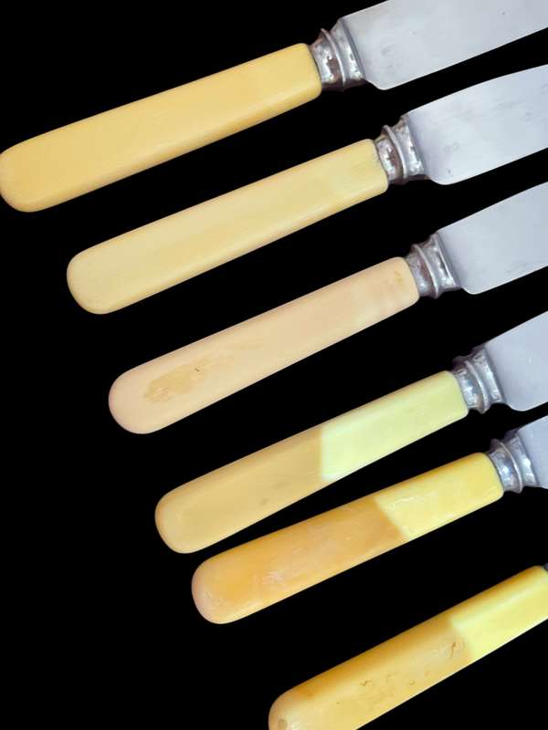 Knives bone handled(NR15)
