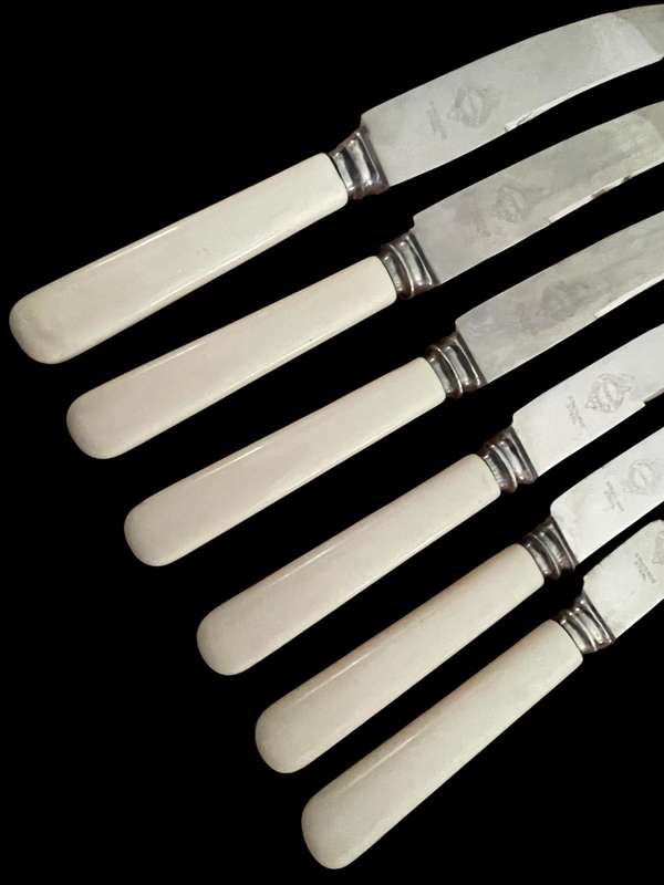 Knives bone handled(NR31)