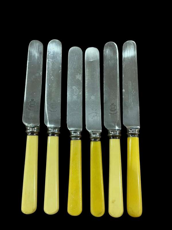 Knives bone handled(NR34)