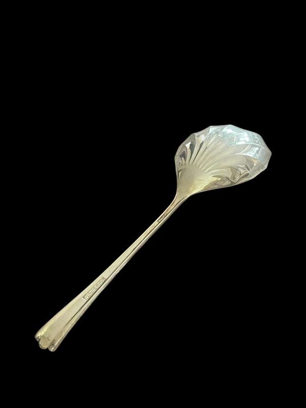 Serving spoon(NR21)