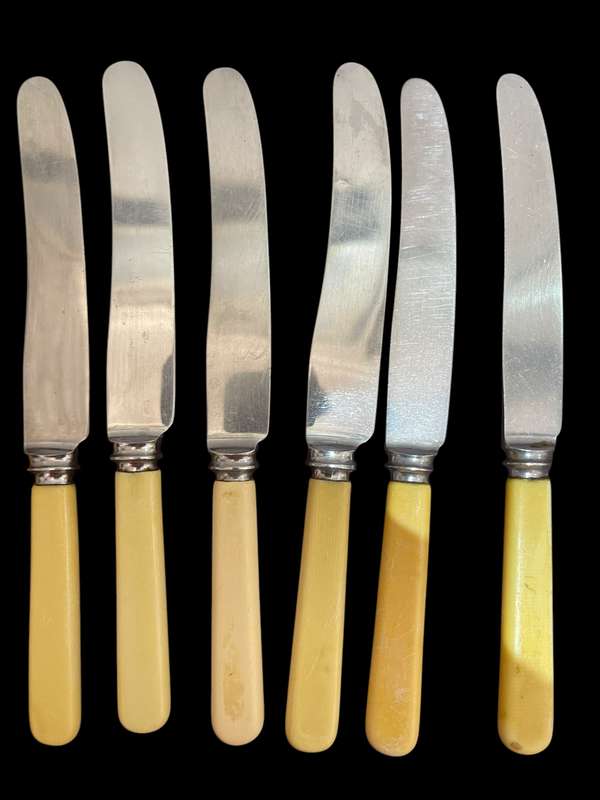 Knives bone handled(NR15)