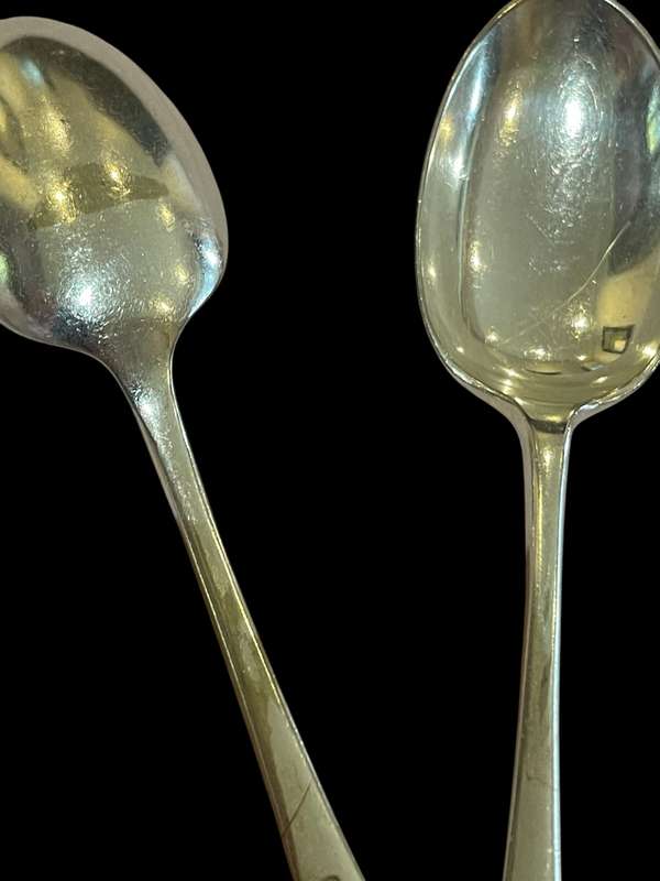 Spoons dinner(11)