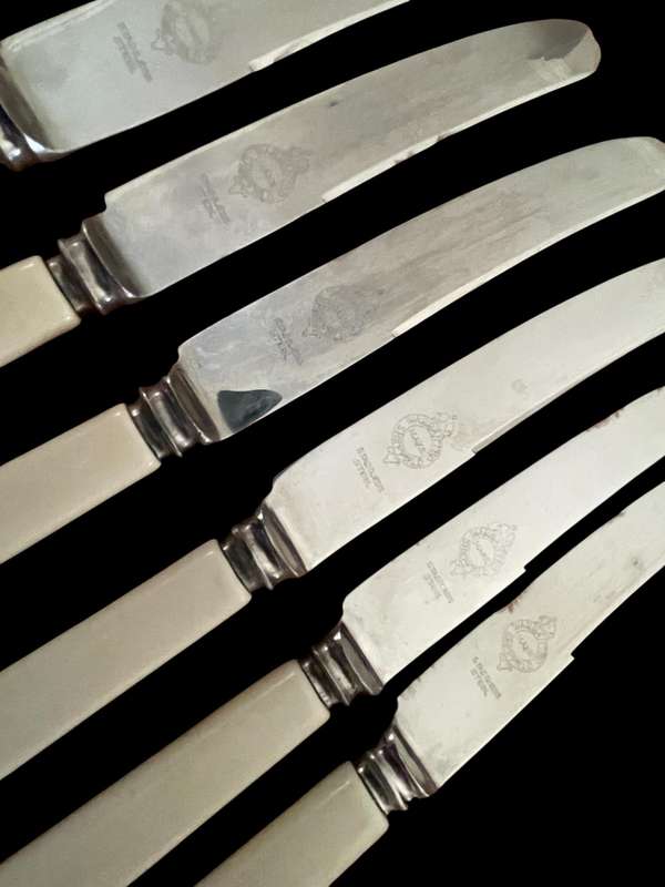 Knives bone handled(NR31)