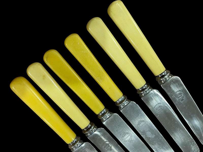 Knives bone handled(NR34)